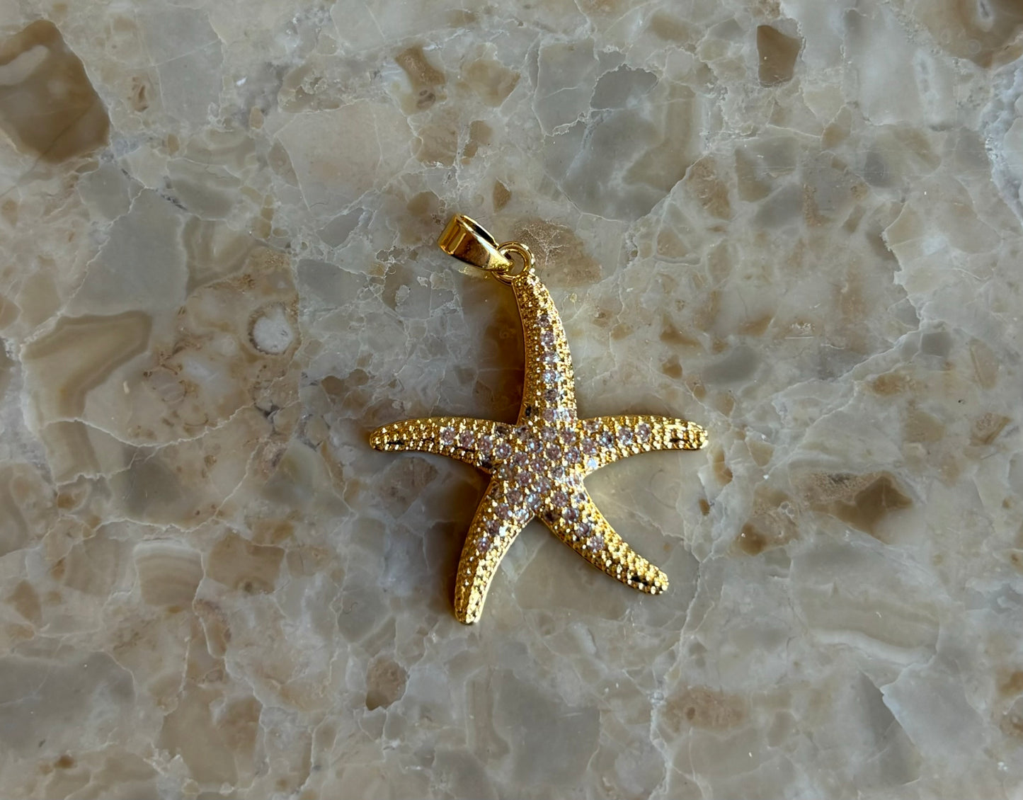 Starfish Cz