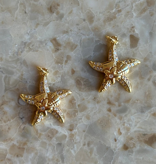 Starfish with seashell